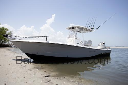 Blue Wave 2800 Pure Hybrid opinión y ficha técnica